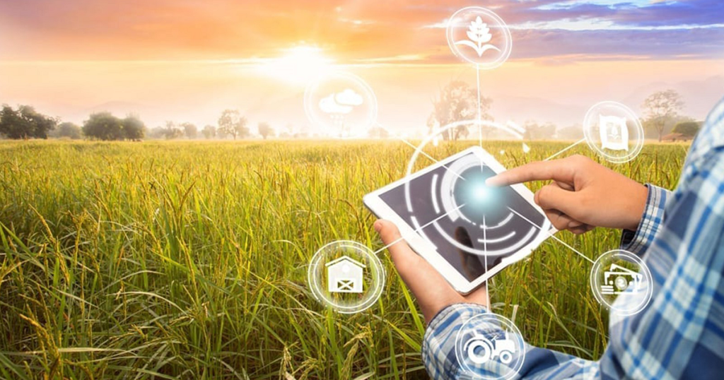 Software's Role in Agricultural